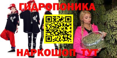 амф Гатчина