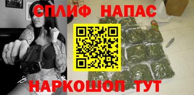 амф Гатчина