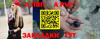 амф Гатчина