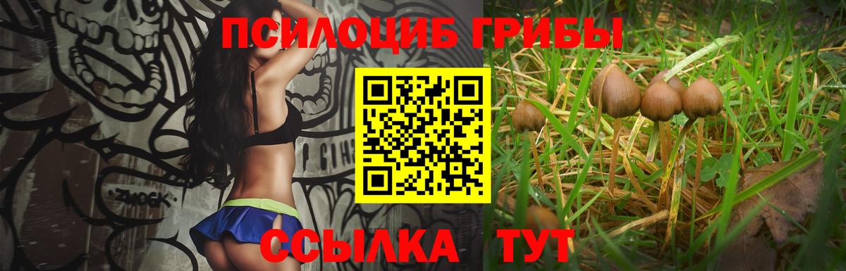 Галлюциногенные грибы прущие грибы Белореченск